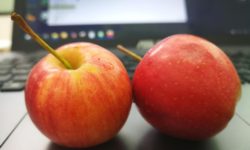 Apple готовит новый Mac Mini с чипом M1X