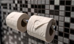 Как выбрать коврик для кошачьего туалета