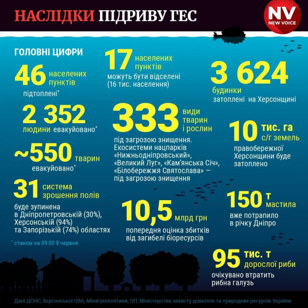 «Гірше, ніж було, вже не буде». Українці не відчують дефіциту продуктів через підрив Каховської ГЕС — Мінагрополітики