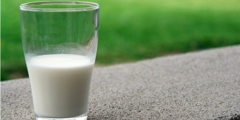 Канада пустила українську молочну продукцію на полиці своїх магазинів